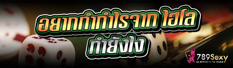 อยากทำกำไรจาก ไฮโล ทำยังไง